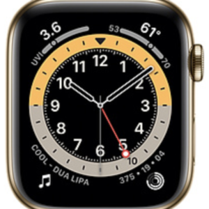 Gold Stainless Steel Case with Leather Link